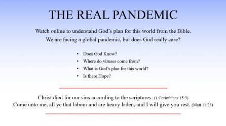 The Real Pandemic
